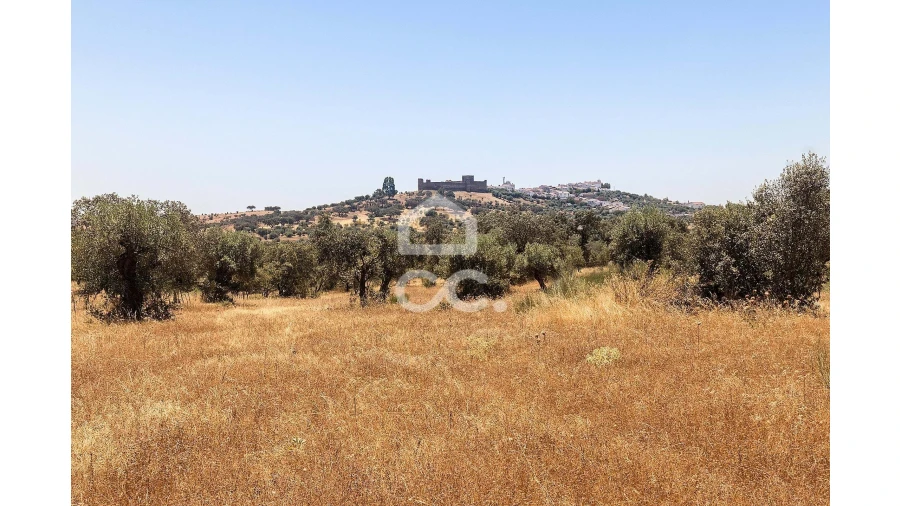 Terreno para Venda em Terena (São Pedro) Foto 8