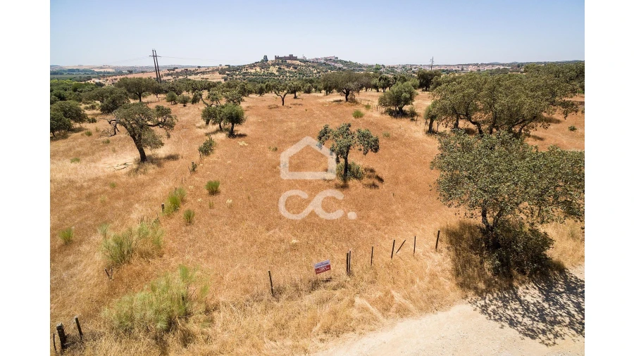Terreno para Venda em Terena (São Pedro) Foto 1