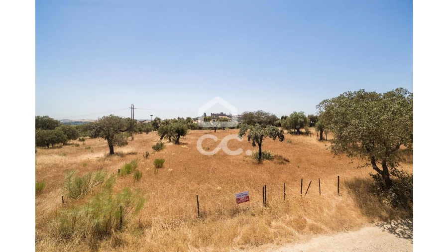 Terreno para Venda em Terena (São Pedro) Foto 5