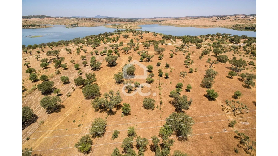 Terreno para Venda em Terena (São Pedro) Foto 13