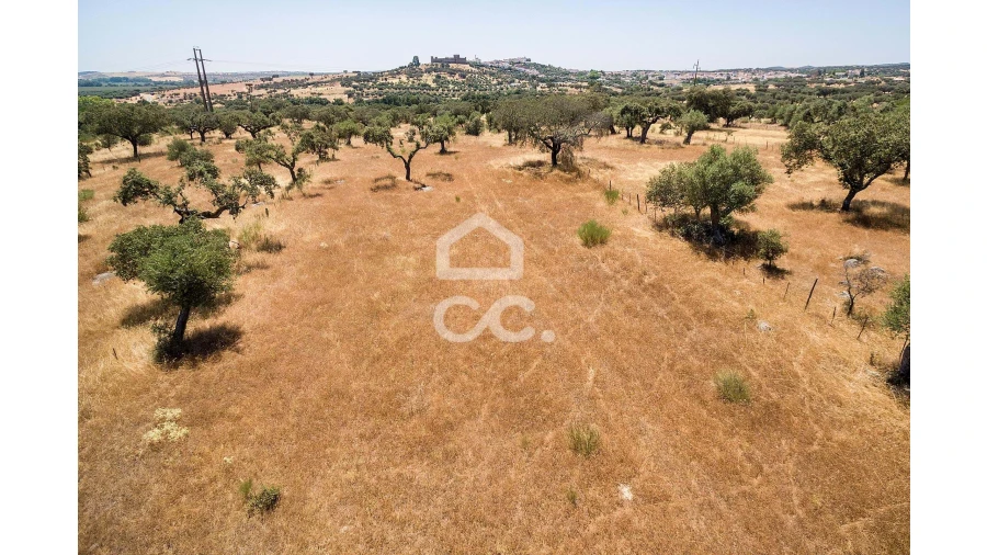 Terreno para Venda em Terena (São Pedro) Foto 9