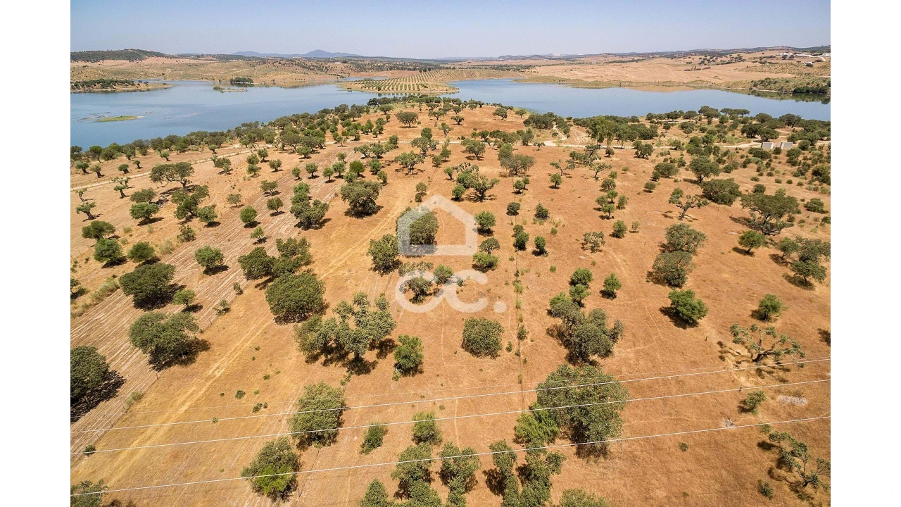 Terreno para Venda em Terena (São Pedro) Foto 13
