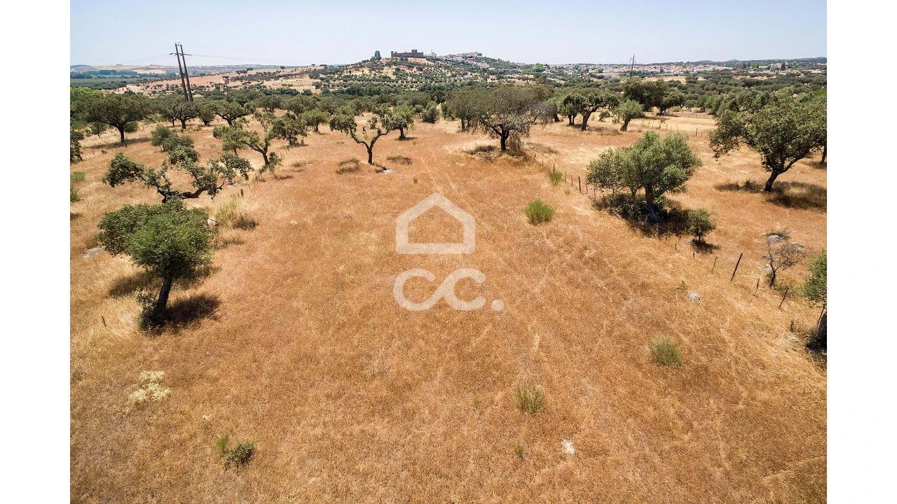 Terreno para Venda em Terena (São Pedro) Foto 9