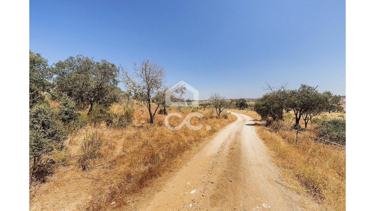 Terreno para Venda em Terena (São Pedro) Foto 3