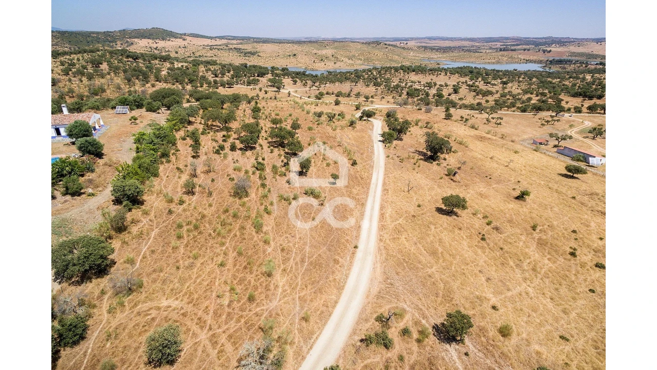 Terreno para Venda em Terena (São Pedro) Foto 4