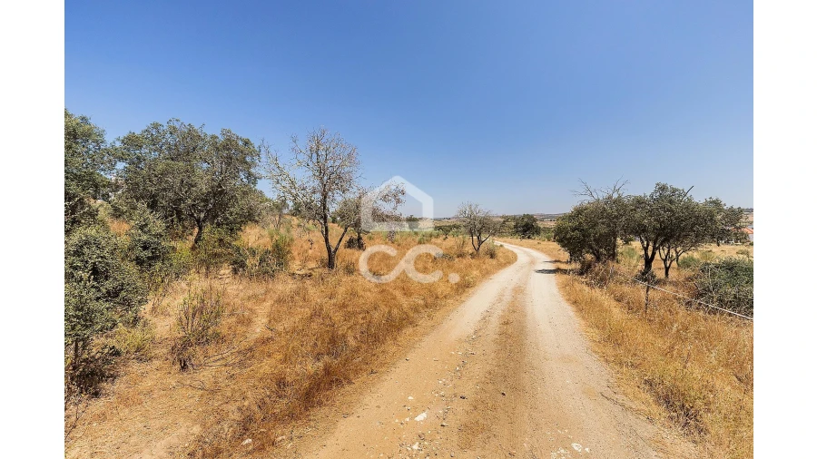 Terreno para Venda em Terena (São Pedro) Foto 3
