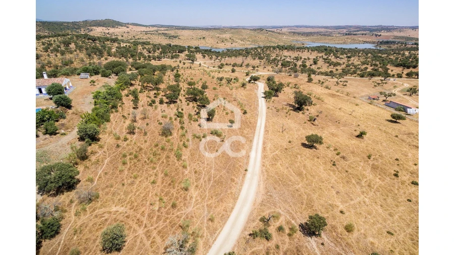Terreno para Venda em Terena (São Pedro) Foto 4