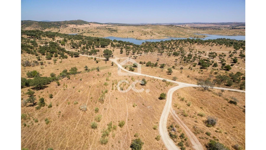 Terreno para Venda em Terena (São Pedro) Foto 5