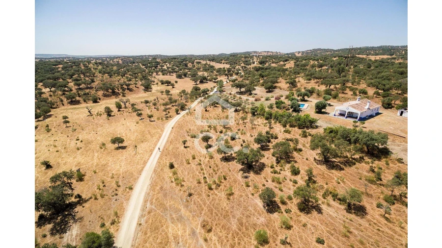 Terreno para Venda em Terena (São Pedro) Foto 2