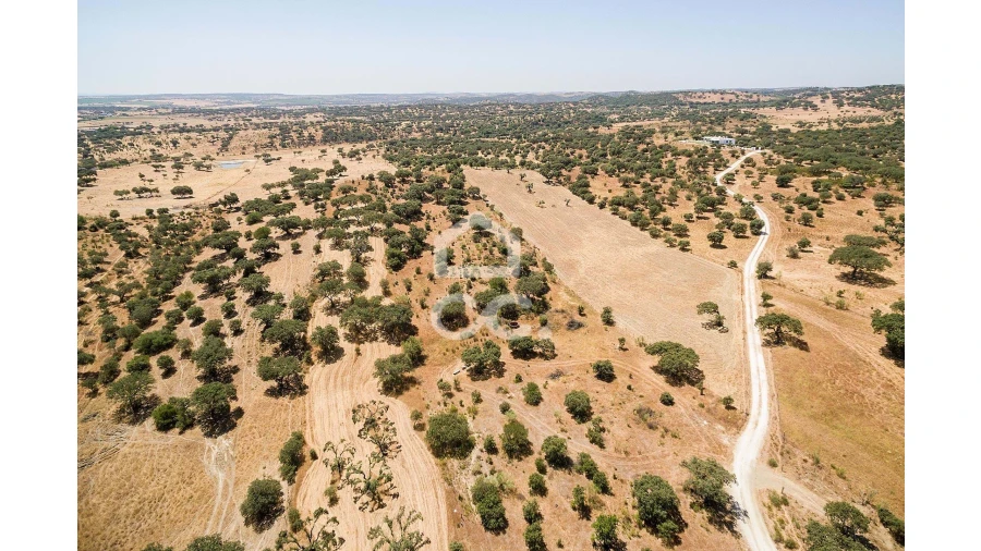 Terreno para Venda em Terena (São Pedro) Foto 7