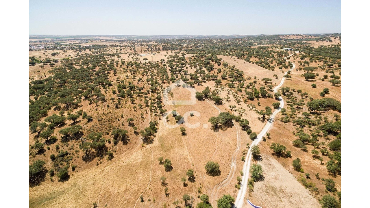 Terreno para Venda em Terena (São Pedro) Foto 6
