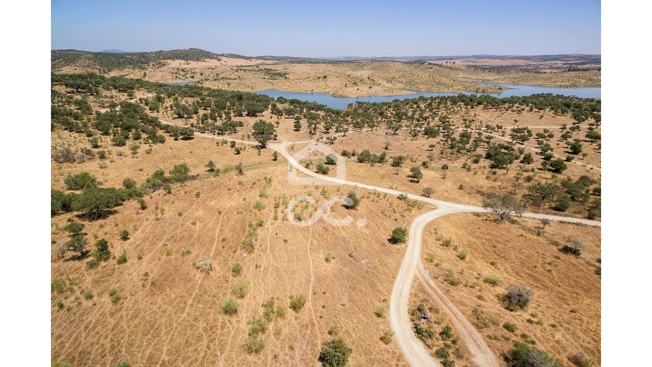 Terreno para Venda em Terena (São Pedro) Foto 5