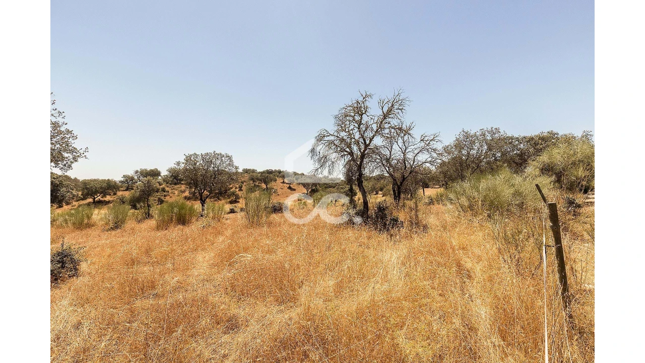 Terreno para Venda em Terena (São Pedro) Foto 10