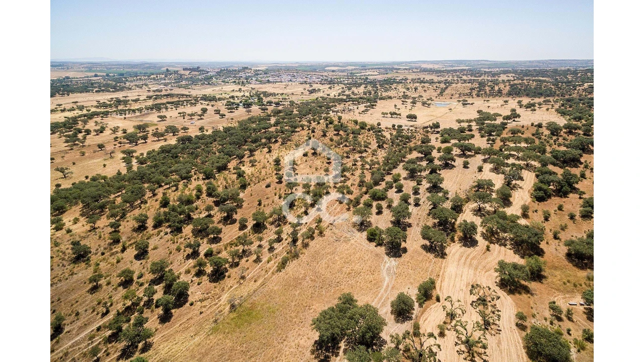 Terreno para Venda em Terena (São Pedro) Foto 9