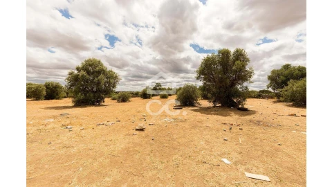 Terreno para Venda em Reguengos de Monsaraz