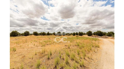 Terreno para Venda em Reguengos de Monsaraz