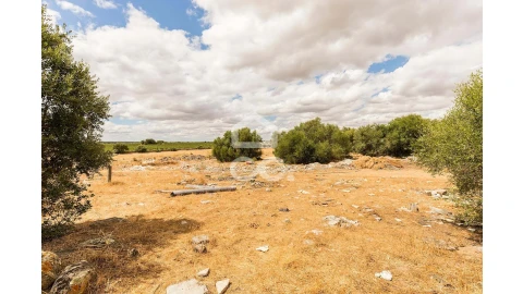 Terreno para Venda em Reguengos de Monsaraz