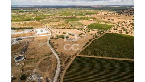 Terreno para Venda em Reguengos de Monsaraz
