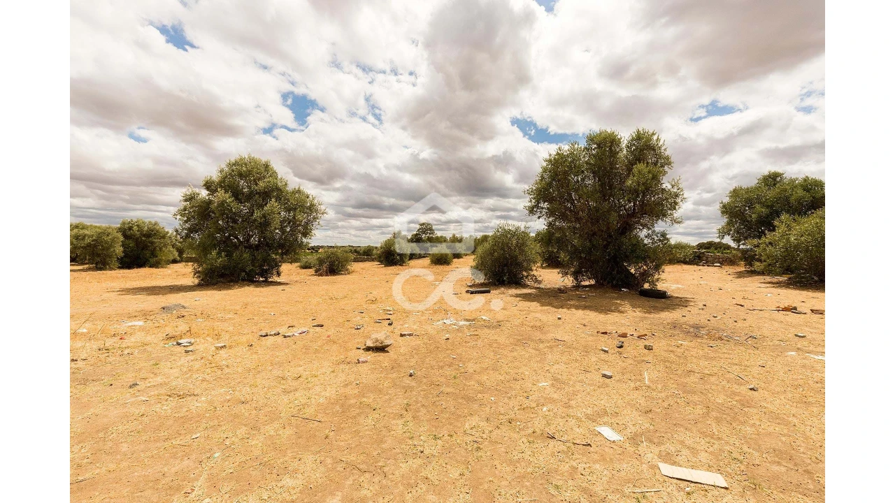 Terreno para Venda em Reguengos de Monsaraz Foto 8
