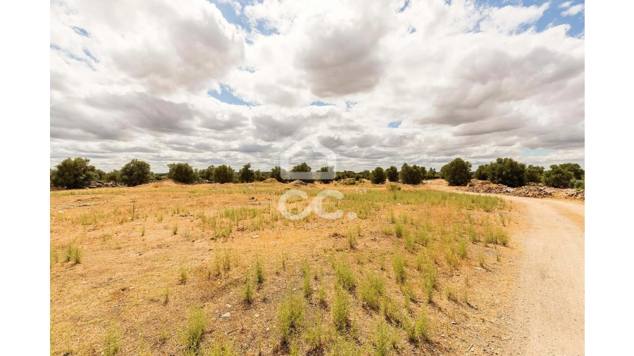Terreno para Venda em Reguengos de Monsaraz Foto 5
