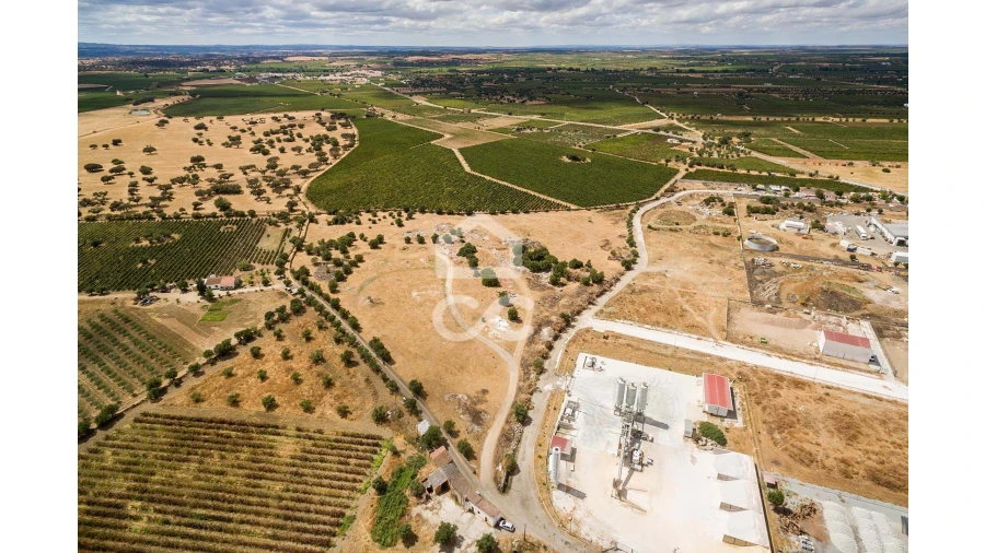 Terreno para Venda em Reguengos de Monsaraz Foto 10