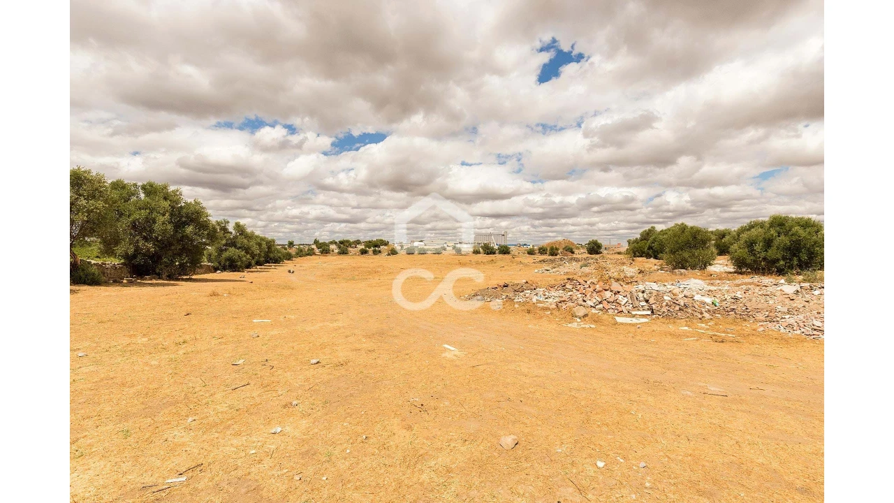 Terreno para Venda em Reguengos de Monsaraz Foto 7