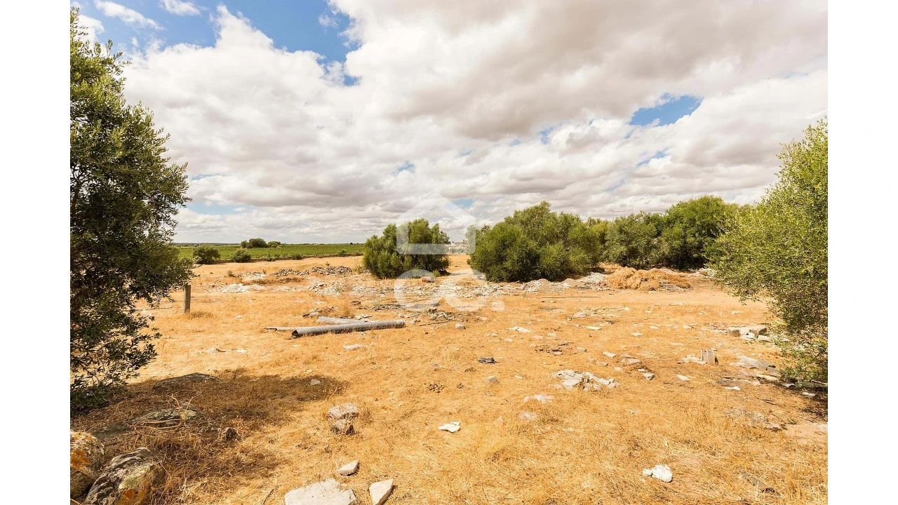 Terreno para Venda em Reguengos de Monsaraz Foto 6