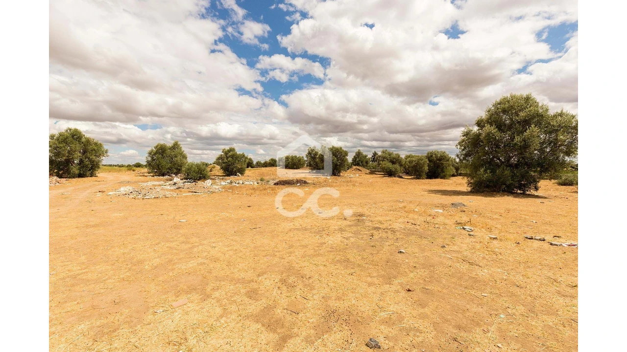 Terreno para Venda em Reguengos de Monsaraz Foto 9