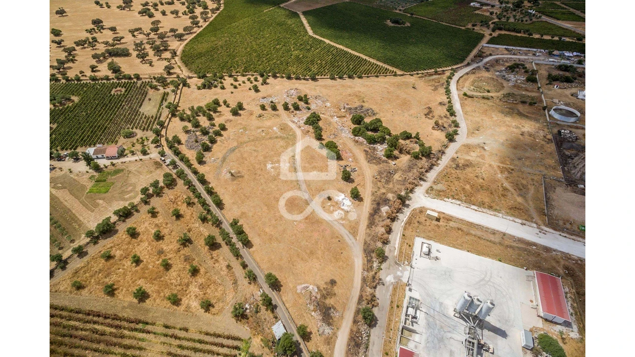 Terreno para Venda em Reguengos de Monsaraz Foto 11