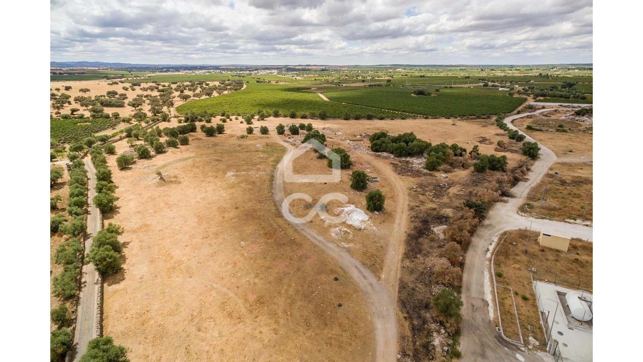 Terreno para Venda em Reguengos de Monsaraz Foto 12