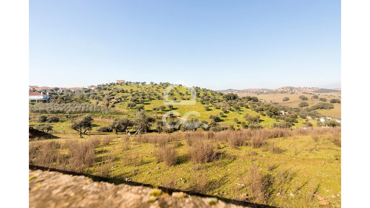 Terreno para Venda em Portel Foto 22