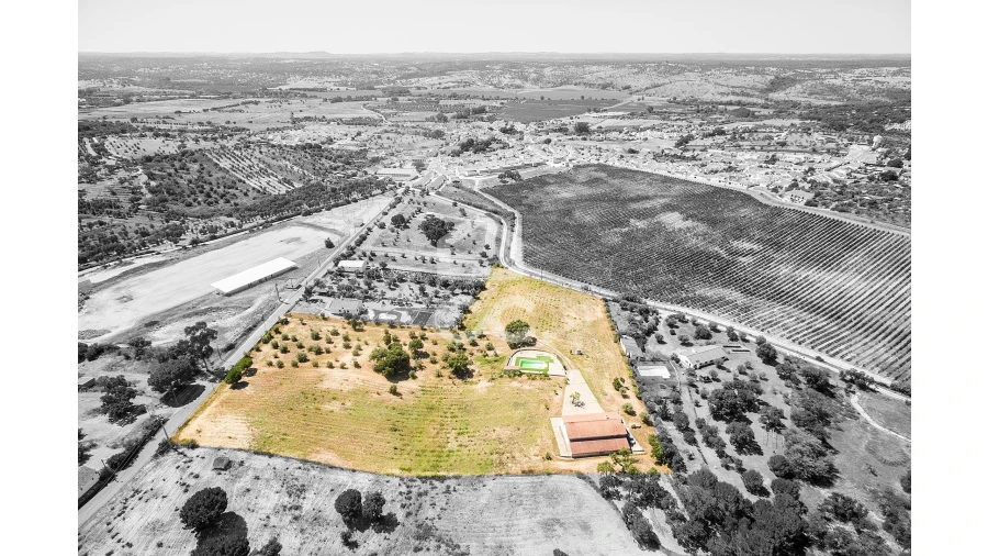 Quinta T3 para Venda em Cabeção Foto 6