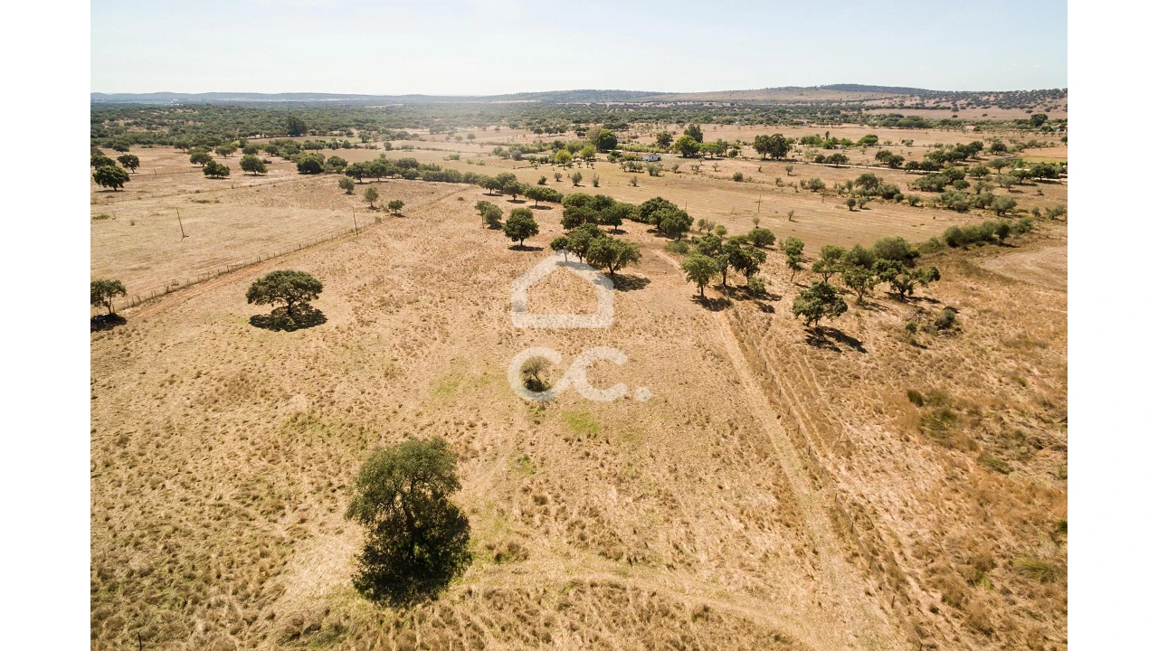 Quinta para Venda em Alcaçovas Foto 18