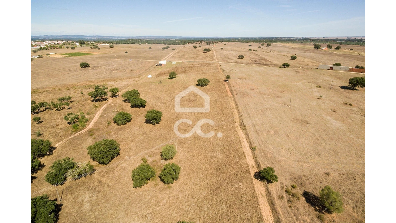 Quinta para Venda em Alcaçovas Foto 24