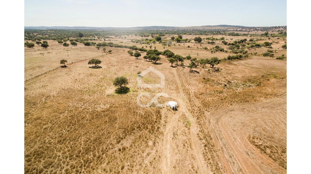 Quinta para Venda em Alcaçovas Foto 17