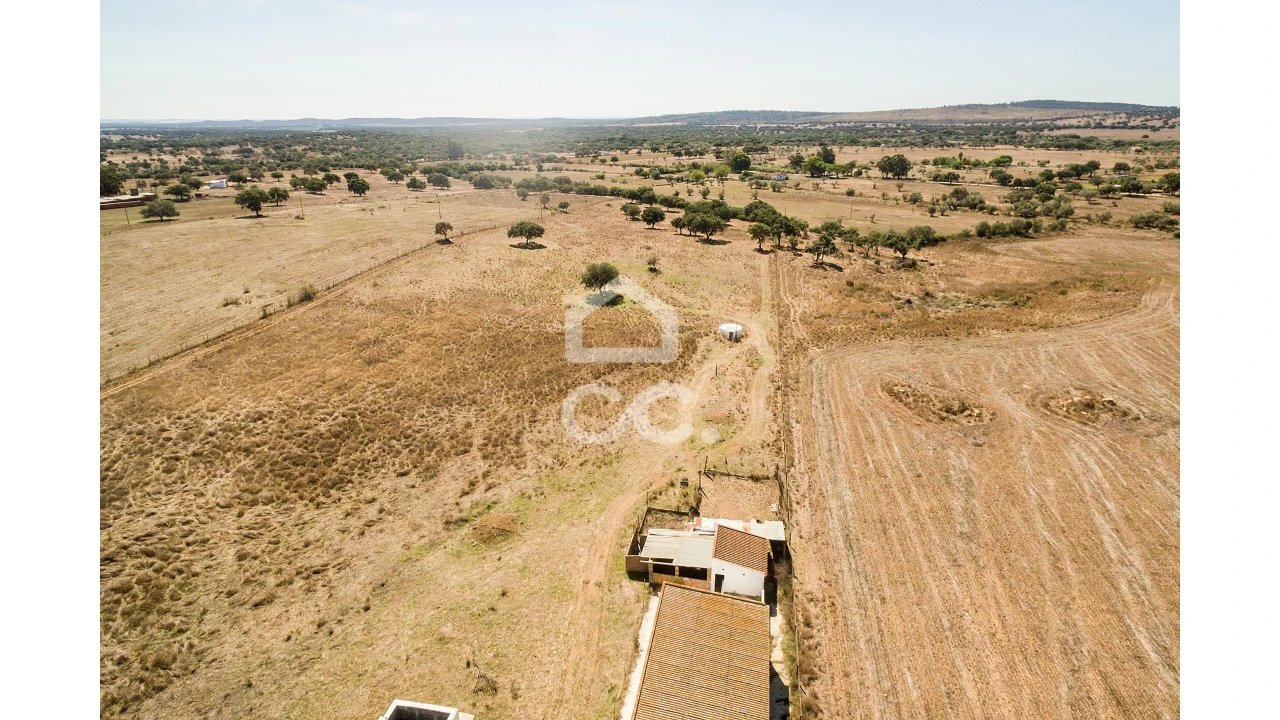 Quinta para Venda em Alcaçovas Foto 16