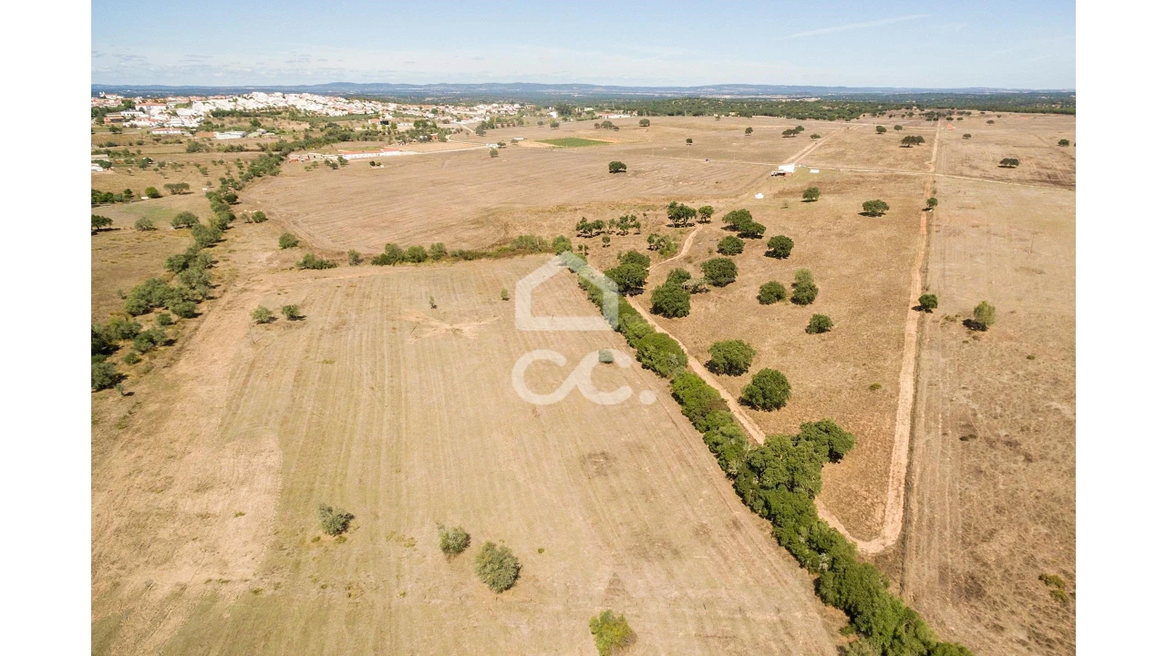 Quinta para Venda em Alcaçovas Foto 22