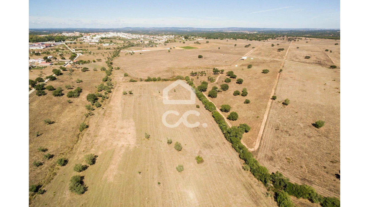 Quinta para Venda em Alcaçovas Foto 21