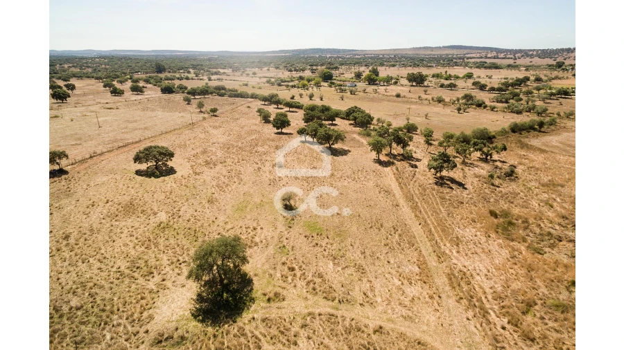 Quinta para Venda em Alcaçovas Foto 18