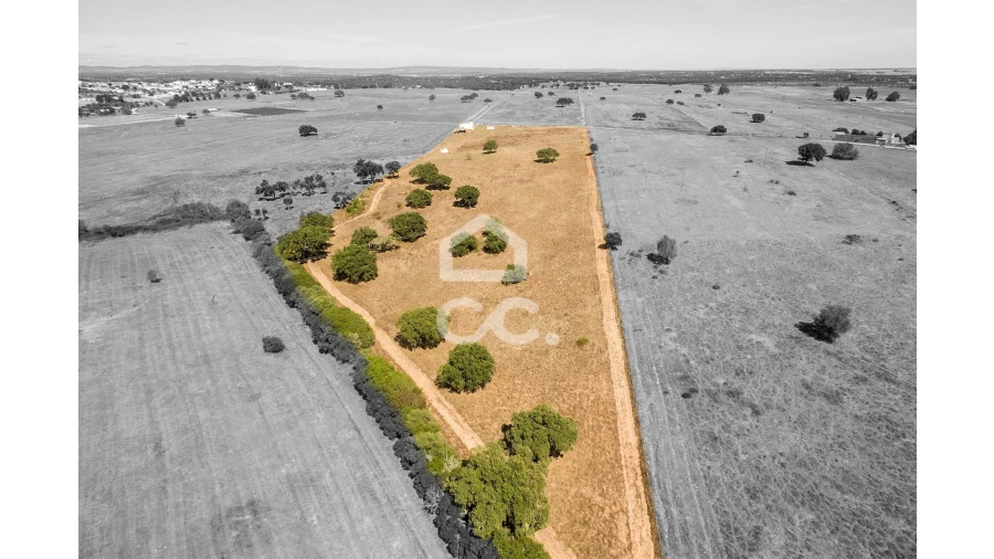 Quinta para Venda em Alcaçovas Foto 3