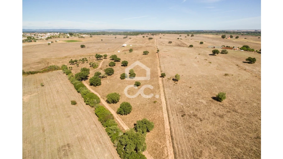 Quinta para Venda em Alcaçovas Foto 23