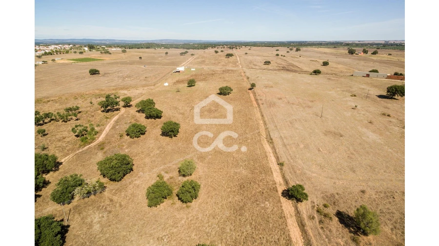 Quinta para Venda em Alcaçovas Foto 24