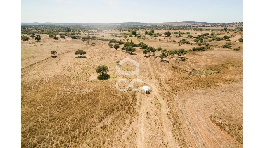 Quinta para Venda em Alcaçovas Foto 17