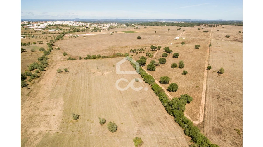 Quinta para Venda em Alcaçovas Foto 22