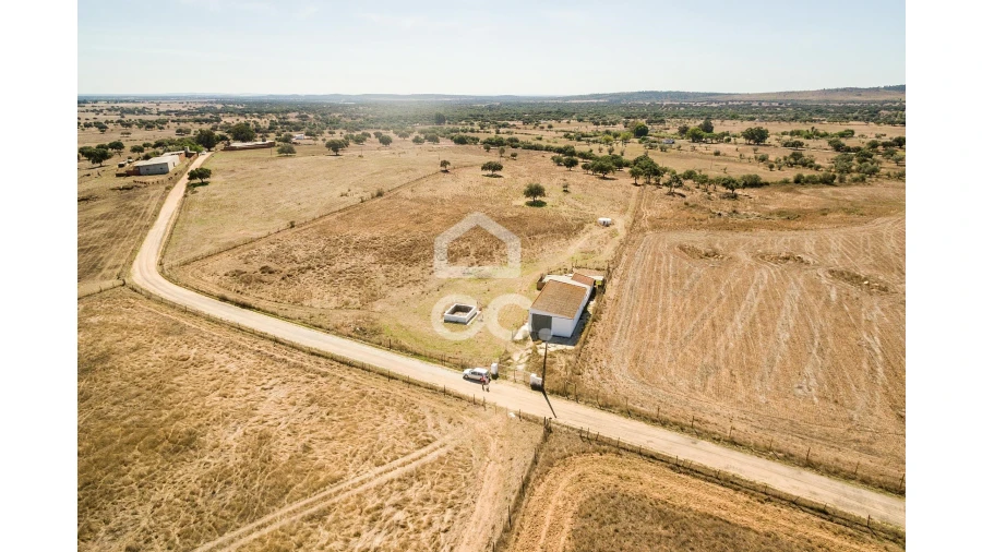 Quinta para Venda em Alcaçovas Foto 14