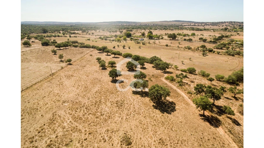 Quinta para Venda em Alcaçovas Foto 19