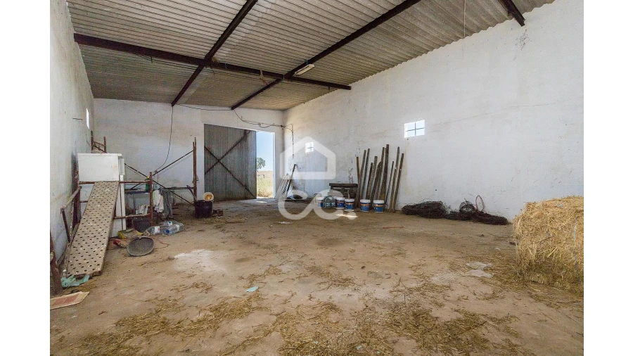 Quinta para Venda em Alcaçovas Foto 5