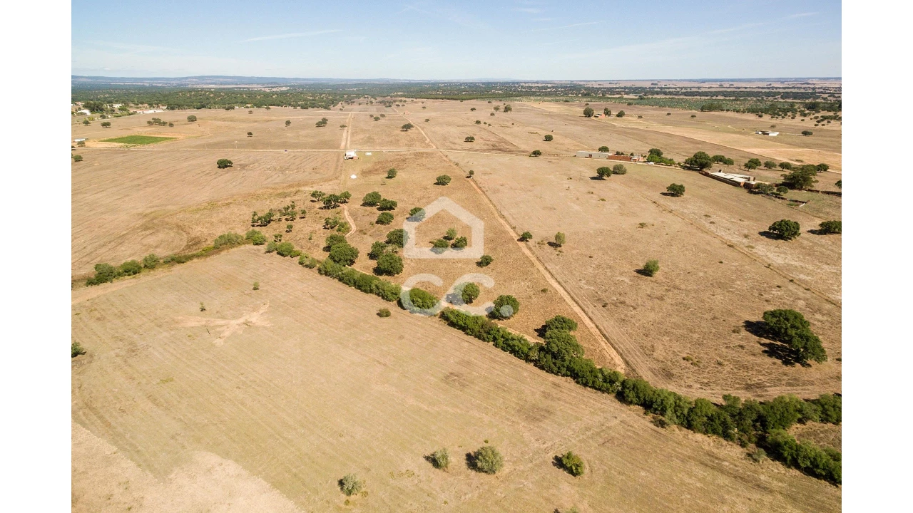 Quinta para Venda em Alcaçovas Foto 20
