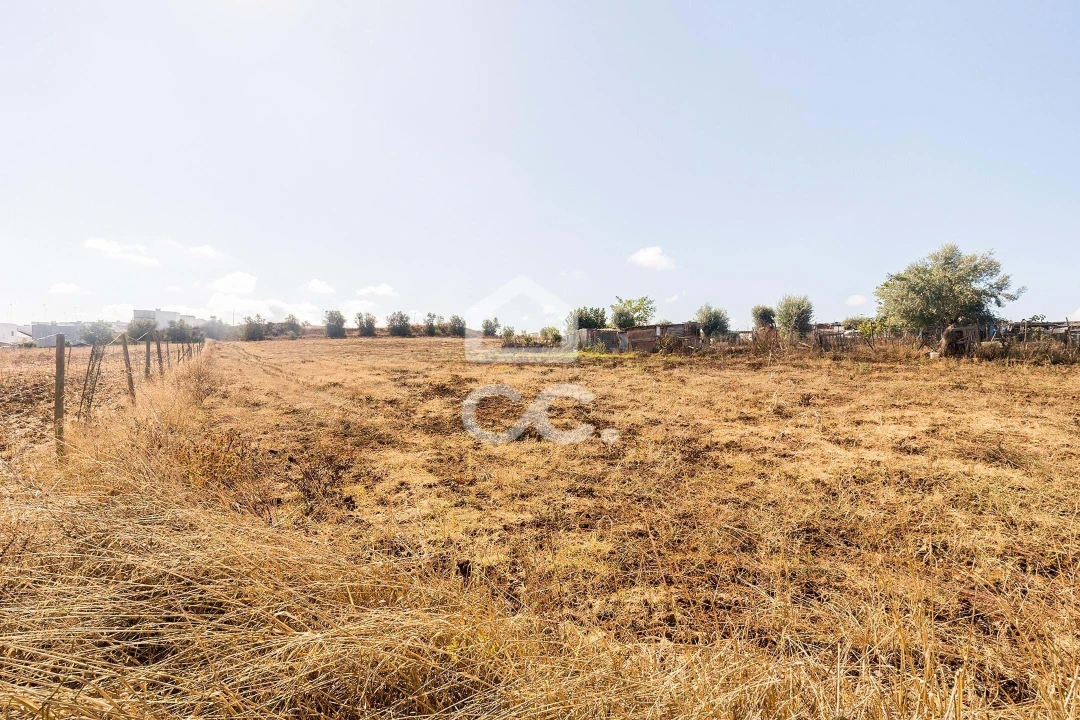 Terreno para Venda em Reguengos de Monsaraz Foto 7