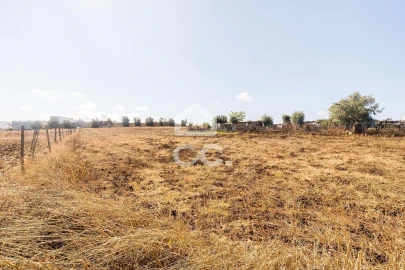 Terreno para Venda em Reguengos de Monsaraz